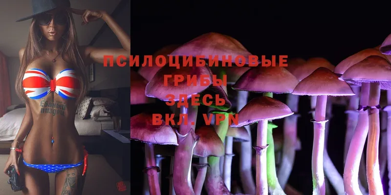 Галлюциногенные грибы Magic Shrooms  Барыш 